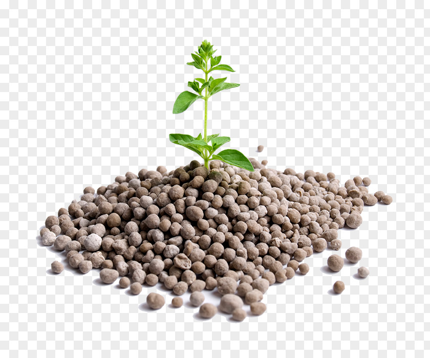 Cubeb Superfood Earth Background PNG