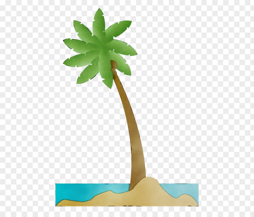 Perennial Plant Flower Cartoon Palm Tree PNG