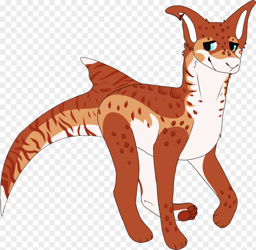 Tiger Shark Whiskers Cat Red Fox Cougar Mammal PNG