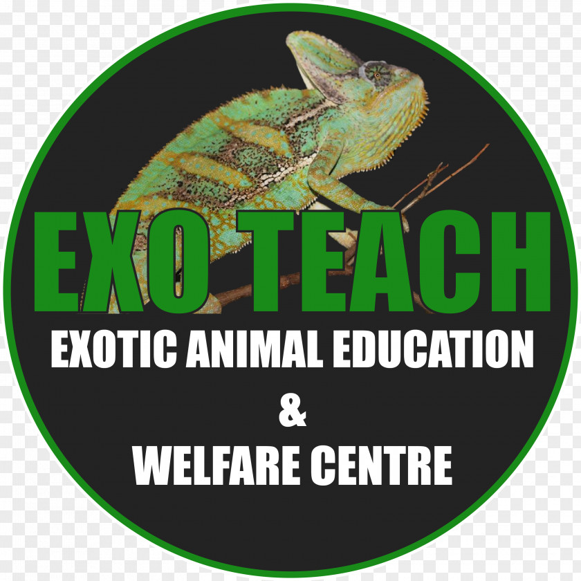 Animal Welfare EXO TEACH Education Exotic Pet Veterinarian Non-profit Organisation PNG