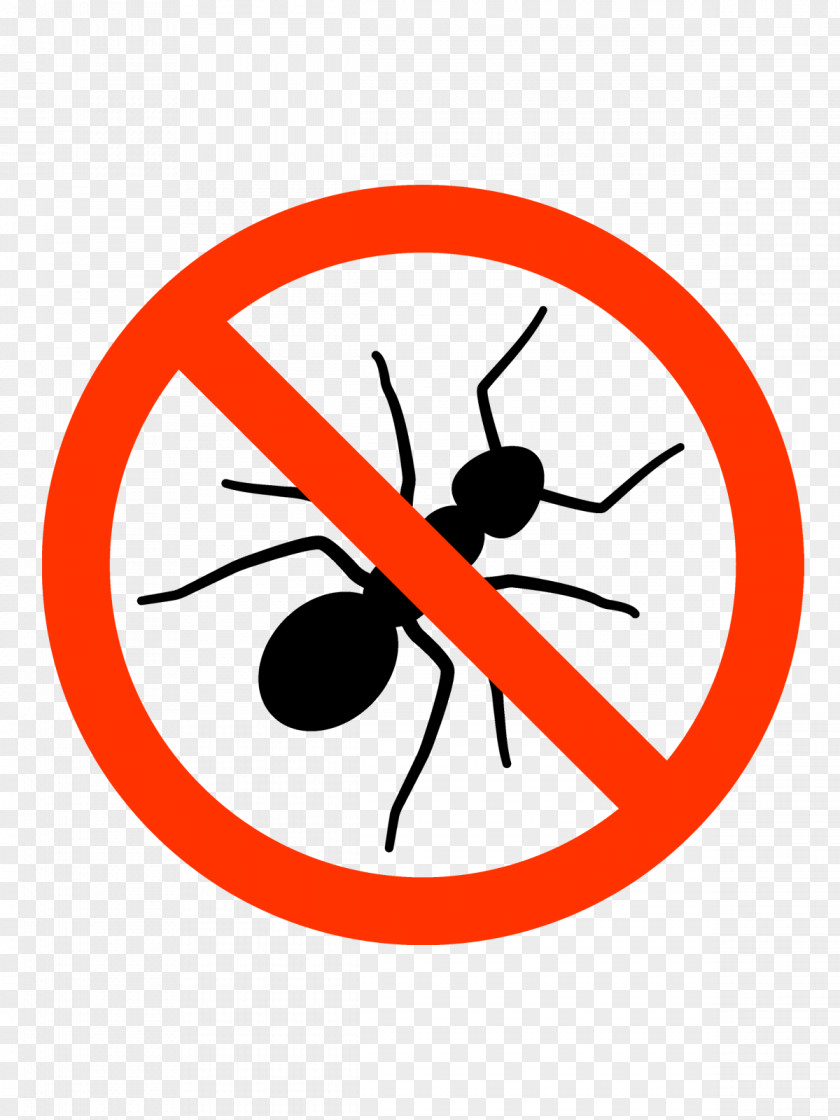 Ants Anti-Ant Insect Red Imported Fire Ant Queen PNG