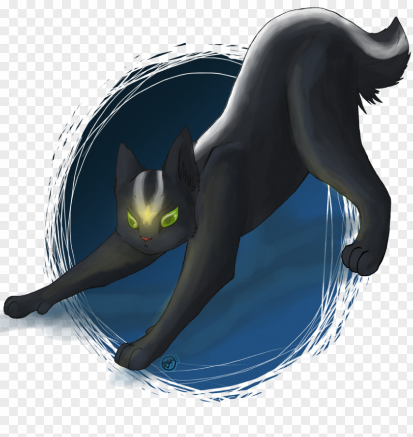 Cat Whiskers Desktop Wallpaper Tail PNG