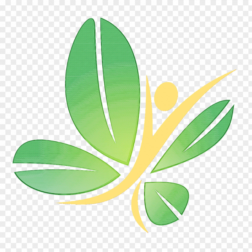 Eucalyptus Flower Green PNG