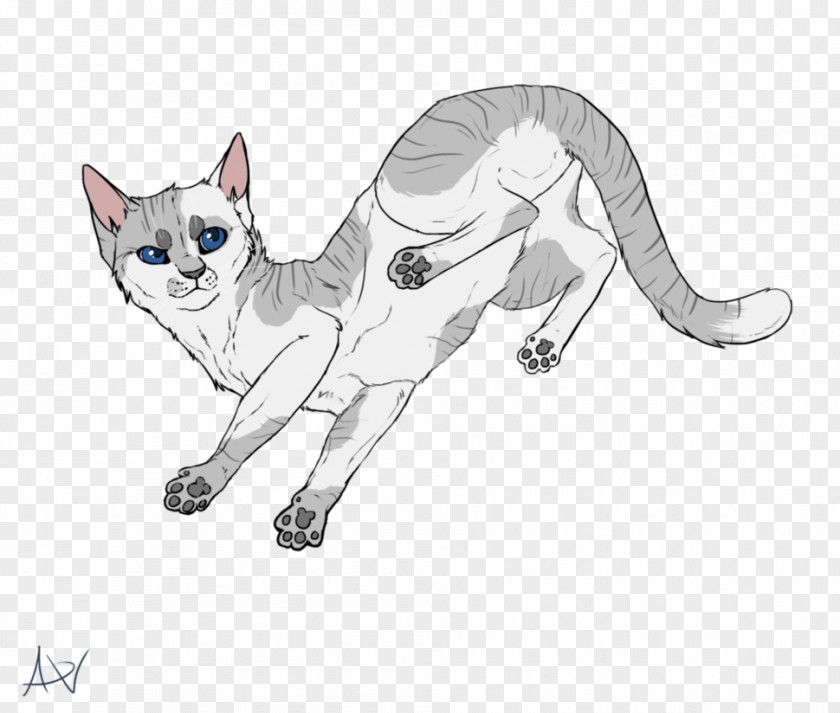 Ivypool Warrior Cat Drawings Bluestar's Prophecy Hollyleaf's Story Warriors Erin Hunter PNG