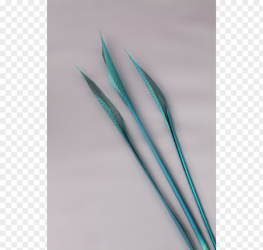 Line Angle Feather Turquoise PNG