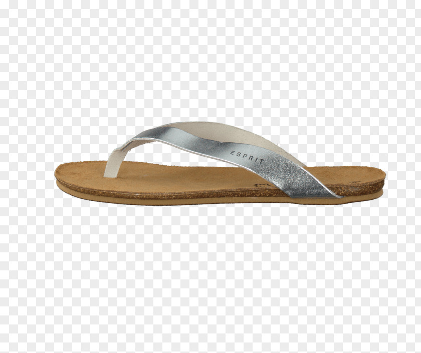 Sandal Flip-flops Slide Shoe Walking PNG