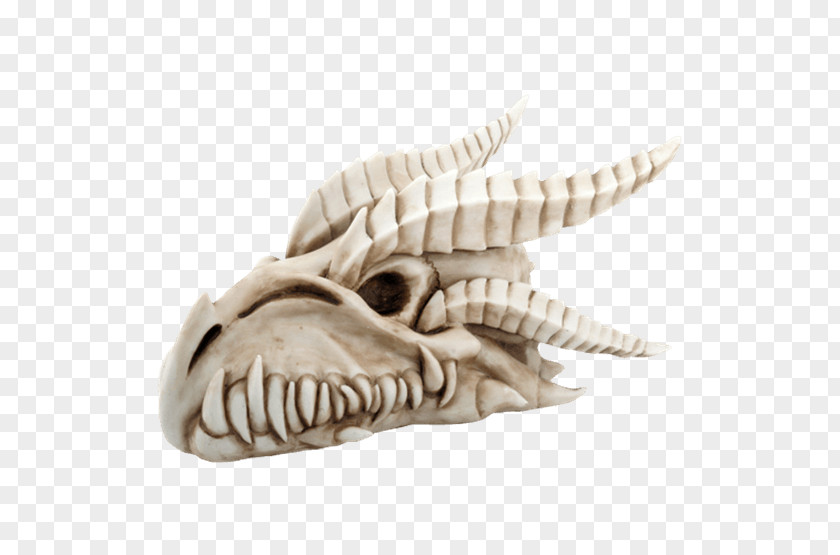 Skull Skeleton Dinosaur Dragon PNG