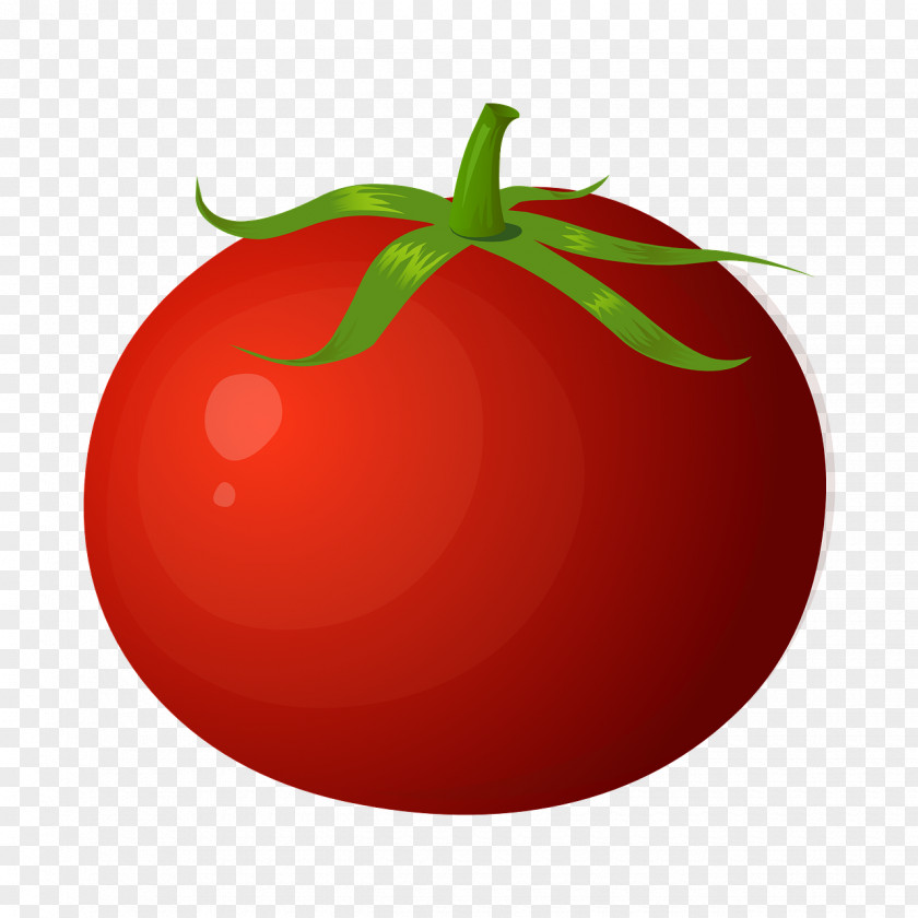 Bright Tomato Vegetable Pomodoro Technique PNG