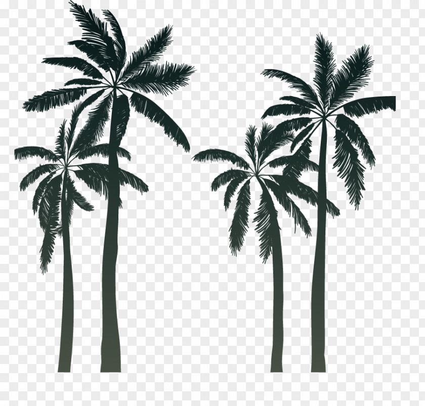 Cartoon Palm Silhouette Summer Arecaceae Sunset PNG