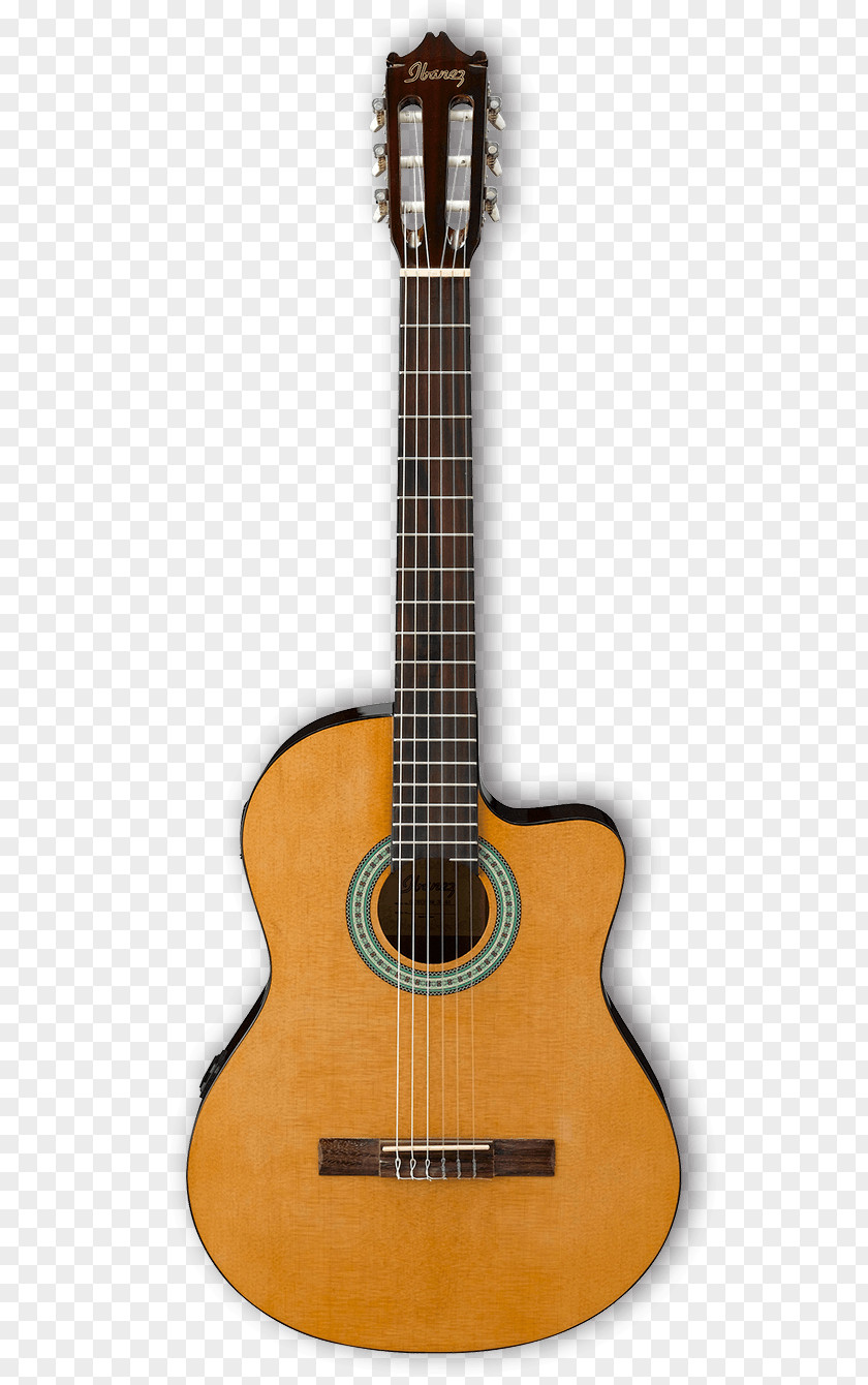 Guitar Classical Steel-string Acoustic Electric PNG