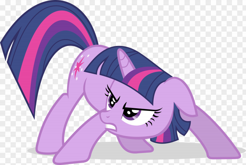 Horse Pony Twilight Sparkle Rarity Rainbow Dash PNG