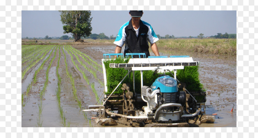 Rice Transplanter Kubota Corporation Tractor Machine Natural Gas Vehicle Cost PNG