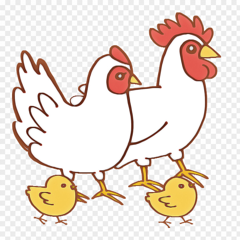 Rooster Birds Beak Chicken Water Bird PNG