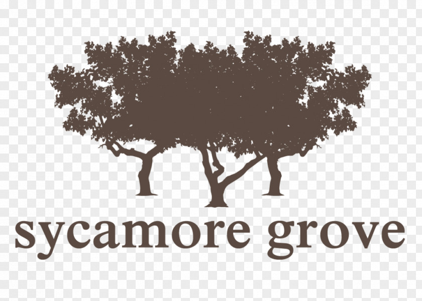 Sycamore Tree Logo Brand Blog Soap Opera Font PNG