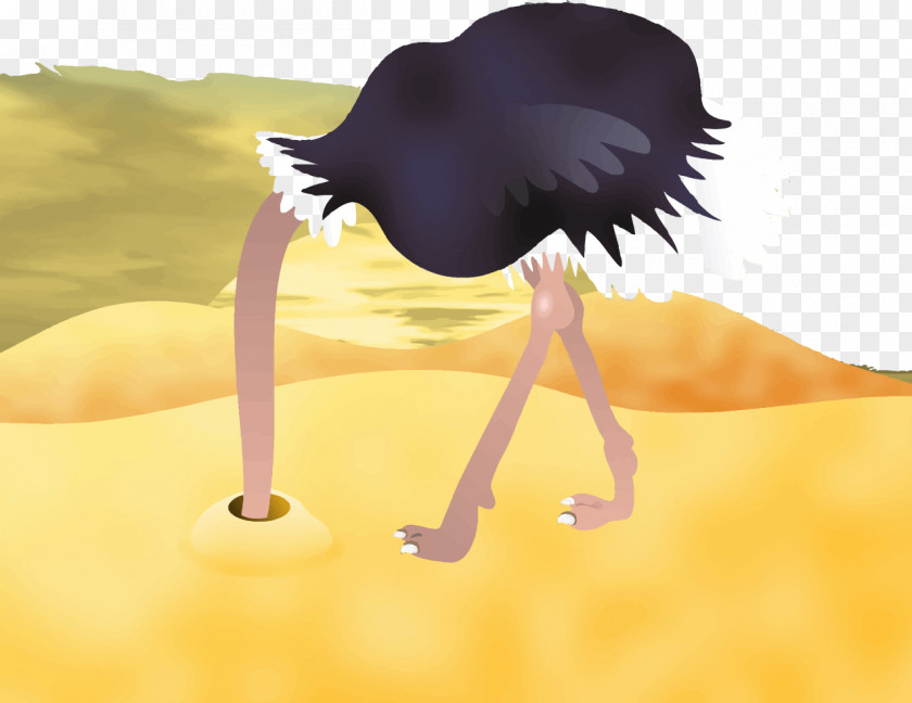 Vector Ostrich Common Bird Goose Cartoon PNG
