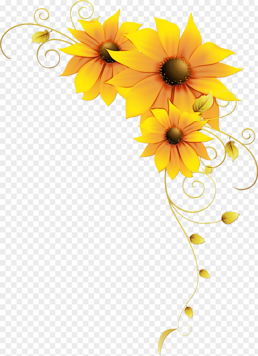 Cut Flowers Petal Sunflower PNG