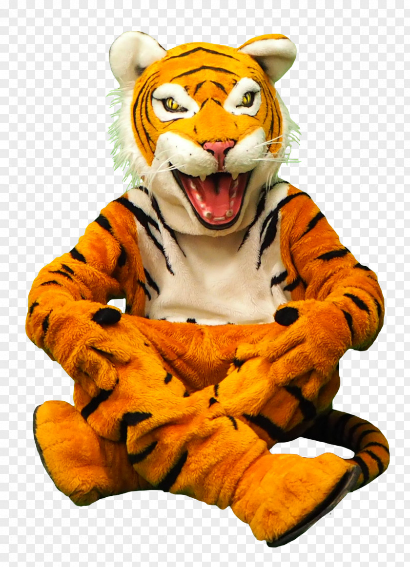 Enroll Now Tiger Big Cat Mascot Stuffed Animals & Cuddly Toys PNG