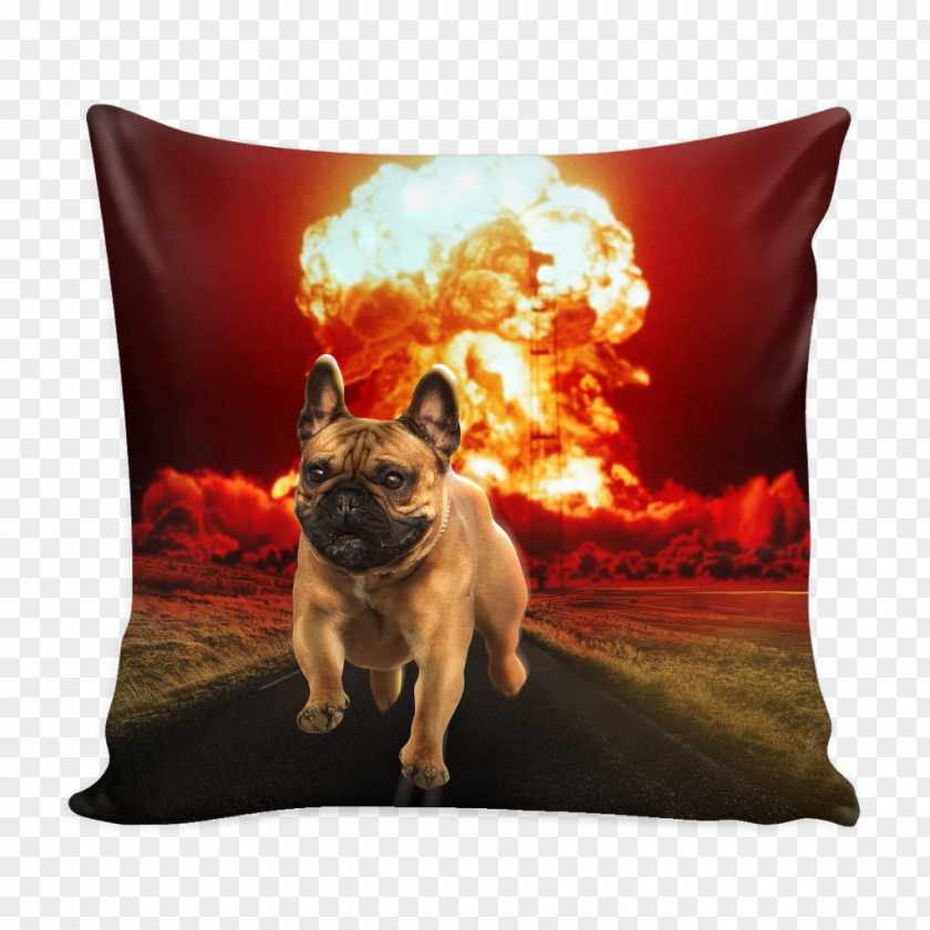 French Bulldog Nuclear Weapon United States Deepwater Horizon Oil Spill Swan Song Bomb PNG
