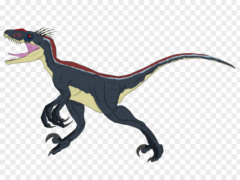 Jurassic Park Velociraptor Deinonychus Animal PNG