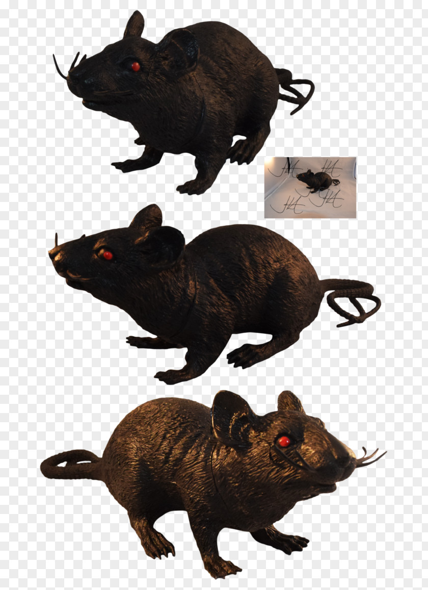 Mouse Black Rat Common Opossum Andalusian Horse PNG