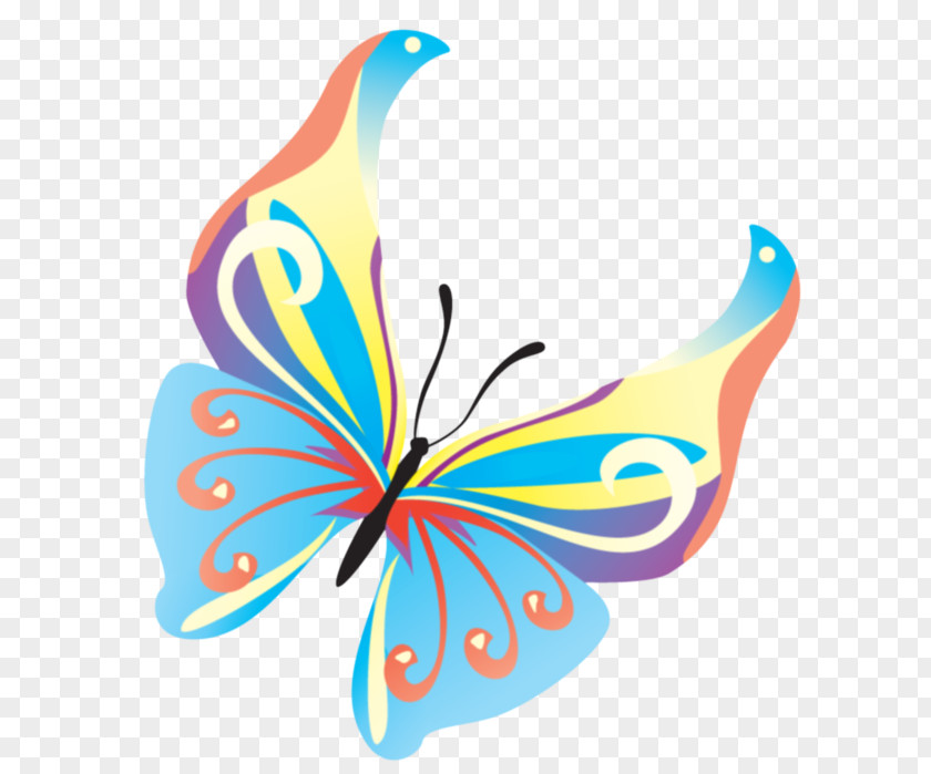 Pollinator Insect Butterfly Moths And Butterflies Clip Art Wing PNG