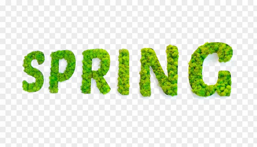 Spring Green Logo Brand Font Product Text Messaging PNG