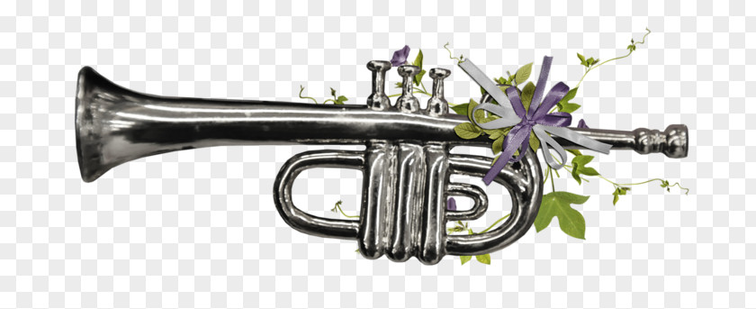 Trumpet Cornet Wind Instrument Flugelhorn Bugle PNG