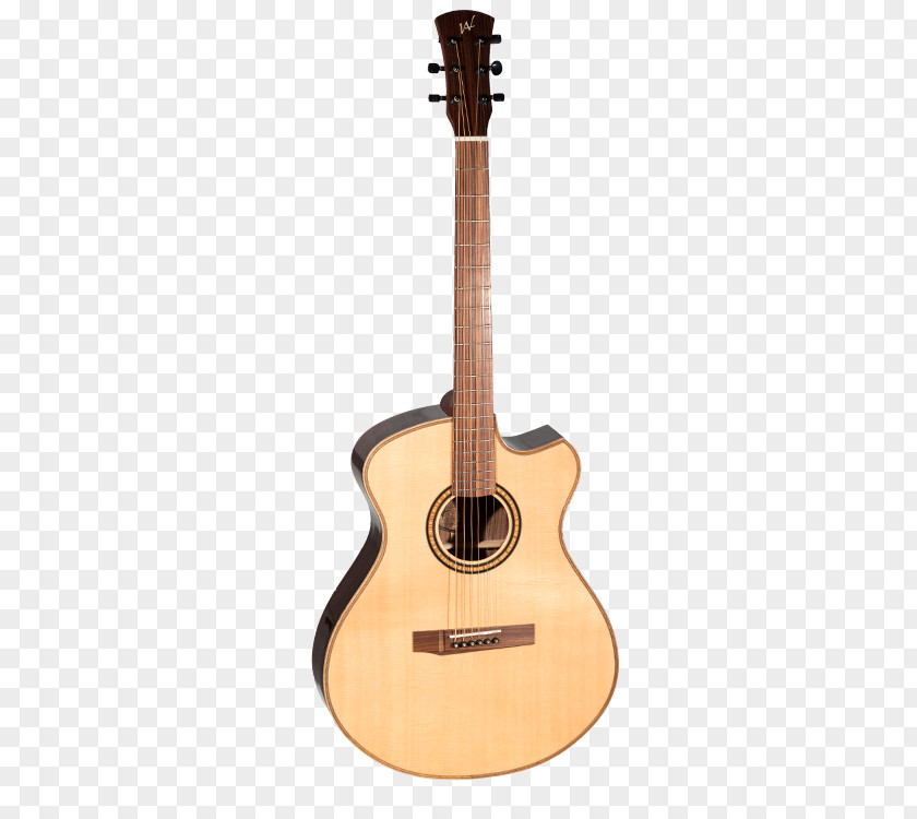 Acoustic Guitar Tanglewood Guitars Steel-string Acoustic-electric Bass PNG