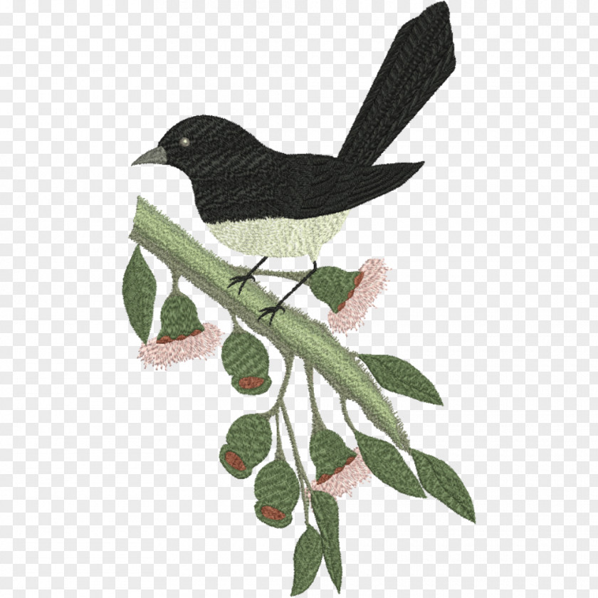 Bird Willie Wagtail Wagtails Beak Machine Embroidery PNG