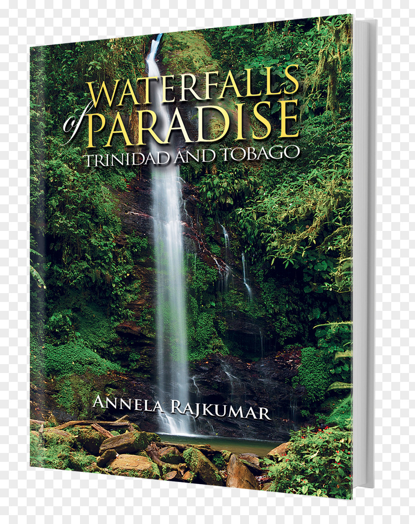 Trinidad And Tobago Waterfall Express Newspapers Flora PNG