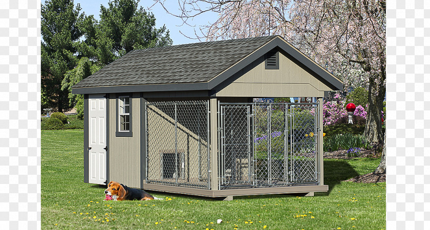 Dog Houses Kennel Daycare PNG