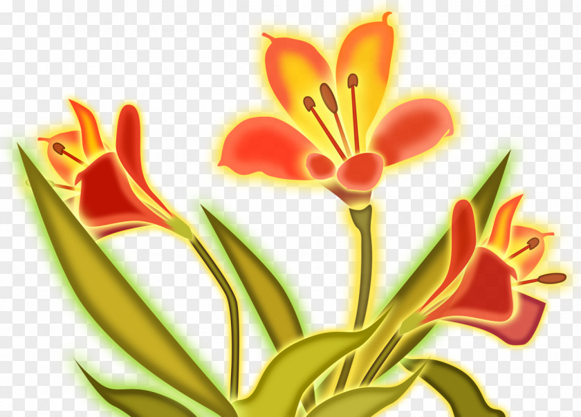 Lily Lilium Cut Flowers Drawing Clip Art PNG
