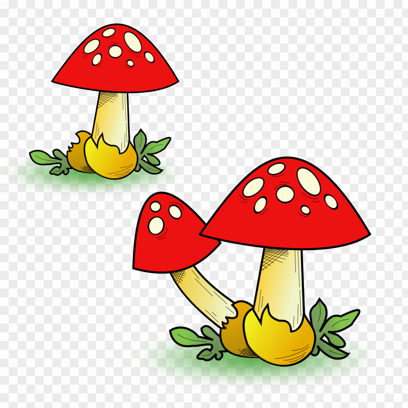 Fungi Mushroom Morchella Clip Art PNG