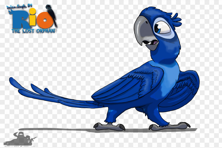 Macaw Rio DeviantArt Film Animation PNG