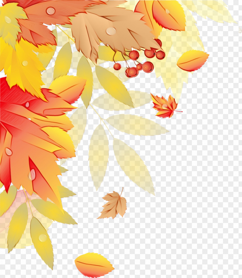 Petal Tree Watercolor PNG