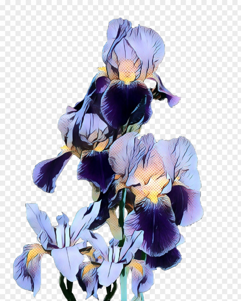 Viola Wildflower Flowers Background PNG