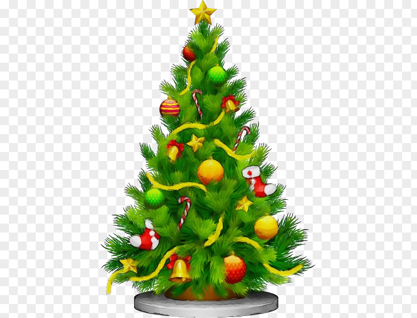 Evergreen Plant Christmas Tree PNG