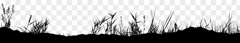 Grass Silhouette Clip Art Image PNG