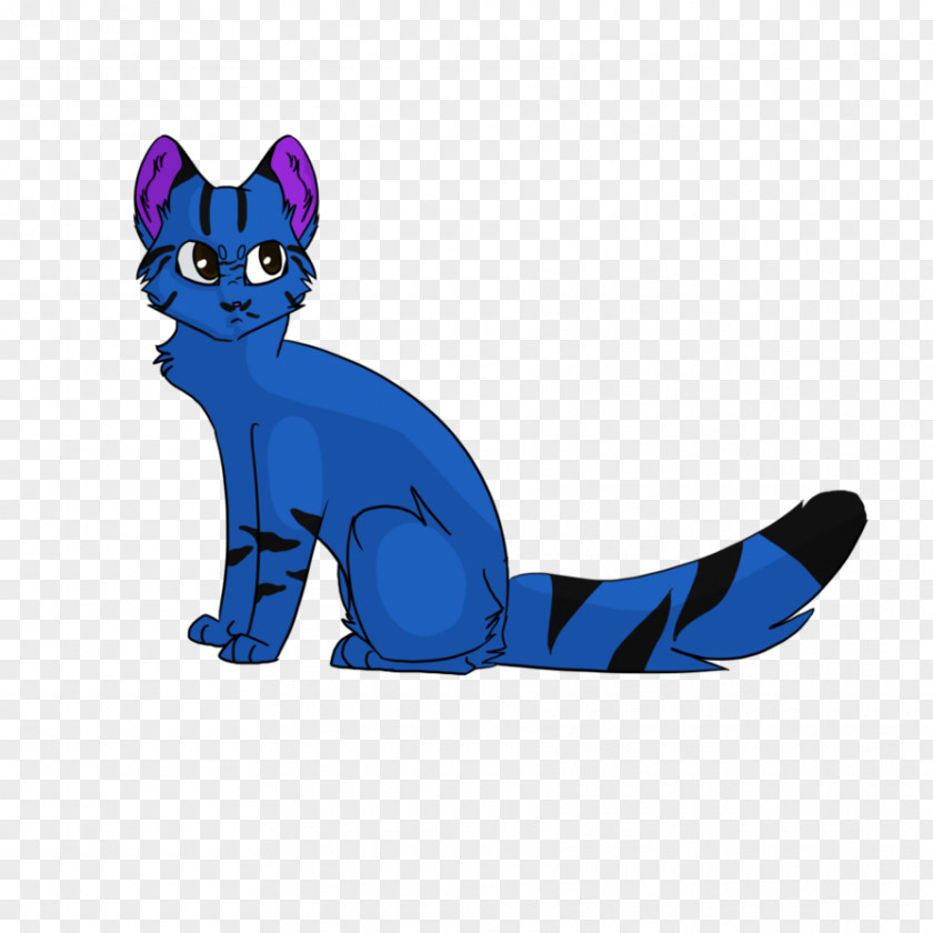 Jae Cat Kitten Mammal Carnivora Whiskers PNG