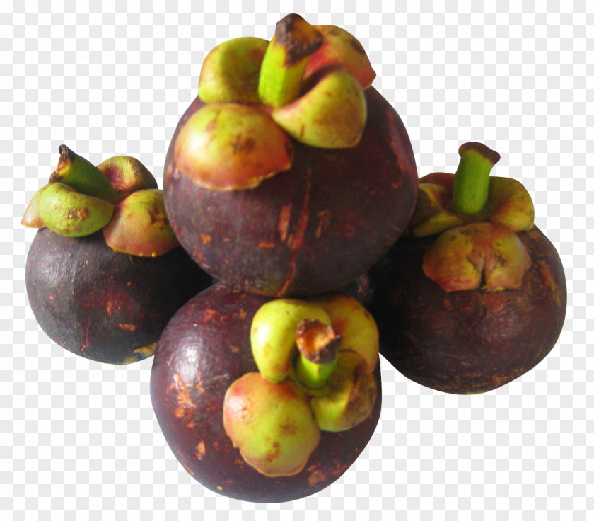 Purple Mangosteen Download PNG