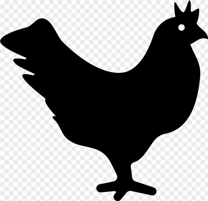 Chicken Avian Influenza PNG