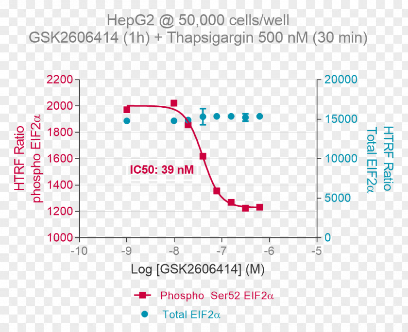 Radioimmunoprecipitation Assay Buffer EIF2 Phosphorylation Eukaryotic Translation Initiation Factor 2-alpha Kinase 1 Cell PNG