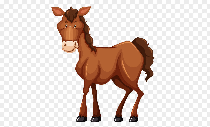 Donkey Horse Illustration PNG