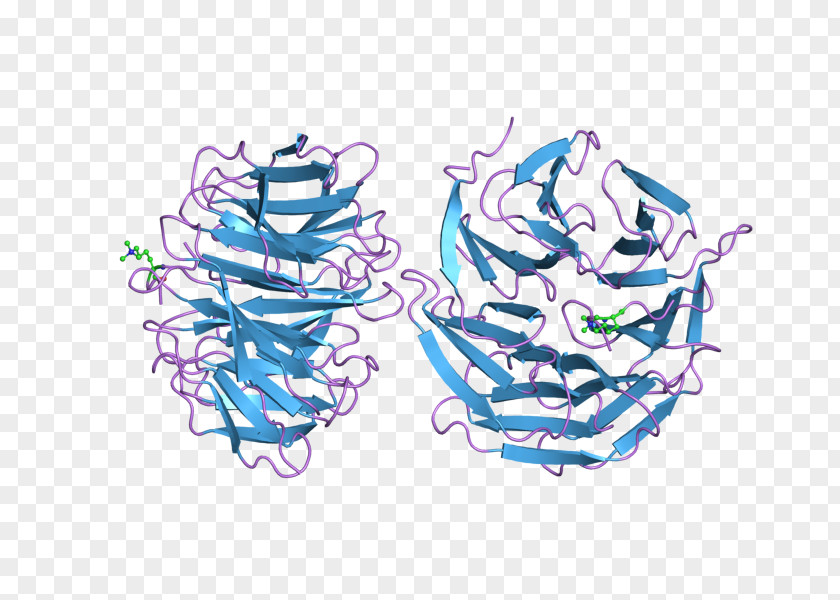 Ebi WDR5 Protein Gene Illustration Clip Art PNG