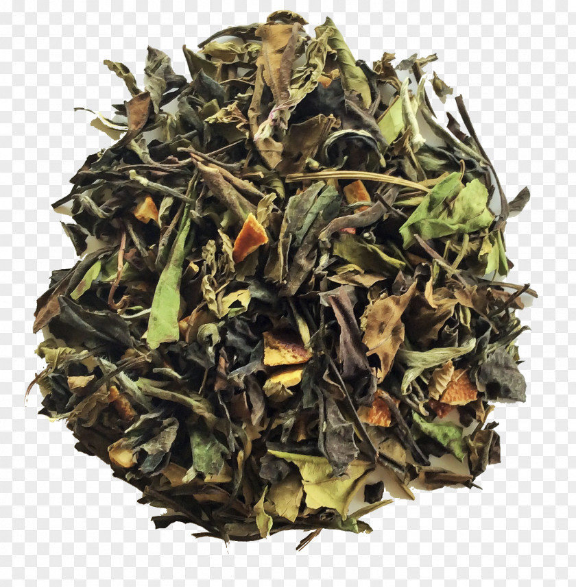 Green Tea Sencha White Gyokuro PNG