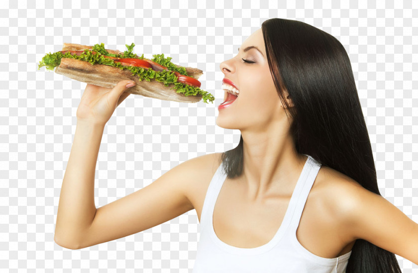 Hot Dog Hair Beauty Heat Hamburger Submarine Sandwich Stock Photography Food PNG