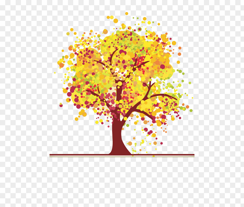 Tree Autumn Leaf Color PNG