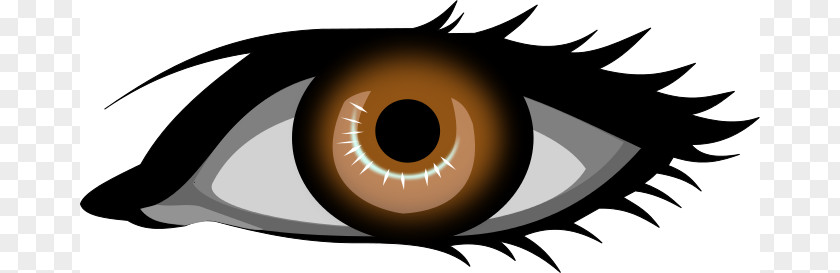 Brown Cliparts Eye Color Clip Art PNG