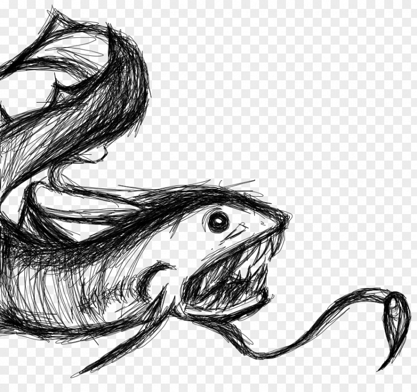 Fish Sketch Mammal Line Art Drawing PNG