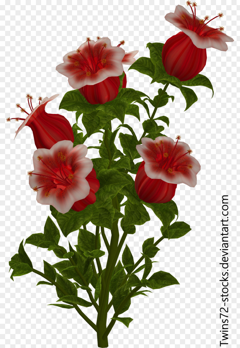 Flower Cut Flowers Plants Art Illustration PNG